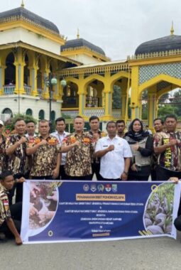 berita-rekomendasi-foto